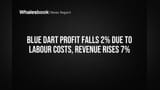 Blue Dart Share Price: லாபம் சரிந்தாலும் ஷேர் ஹோல்டர்களுக்கு குட் நியூஸ்! வருவாய் **7%** உயர்வு!