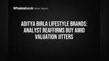 Aditya Birla Lifestyle Brands: Analyst Reaffirms BUY Amid Valuation Jitters