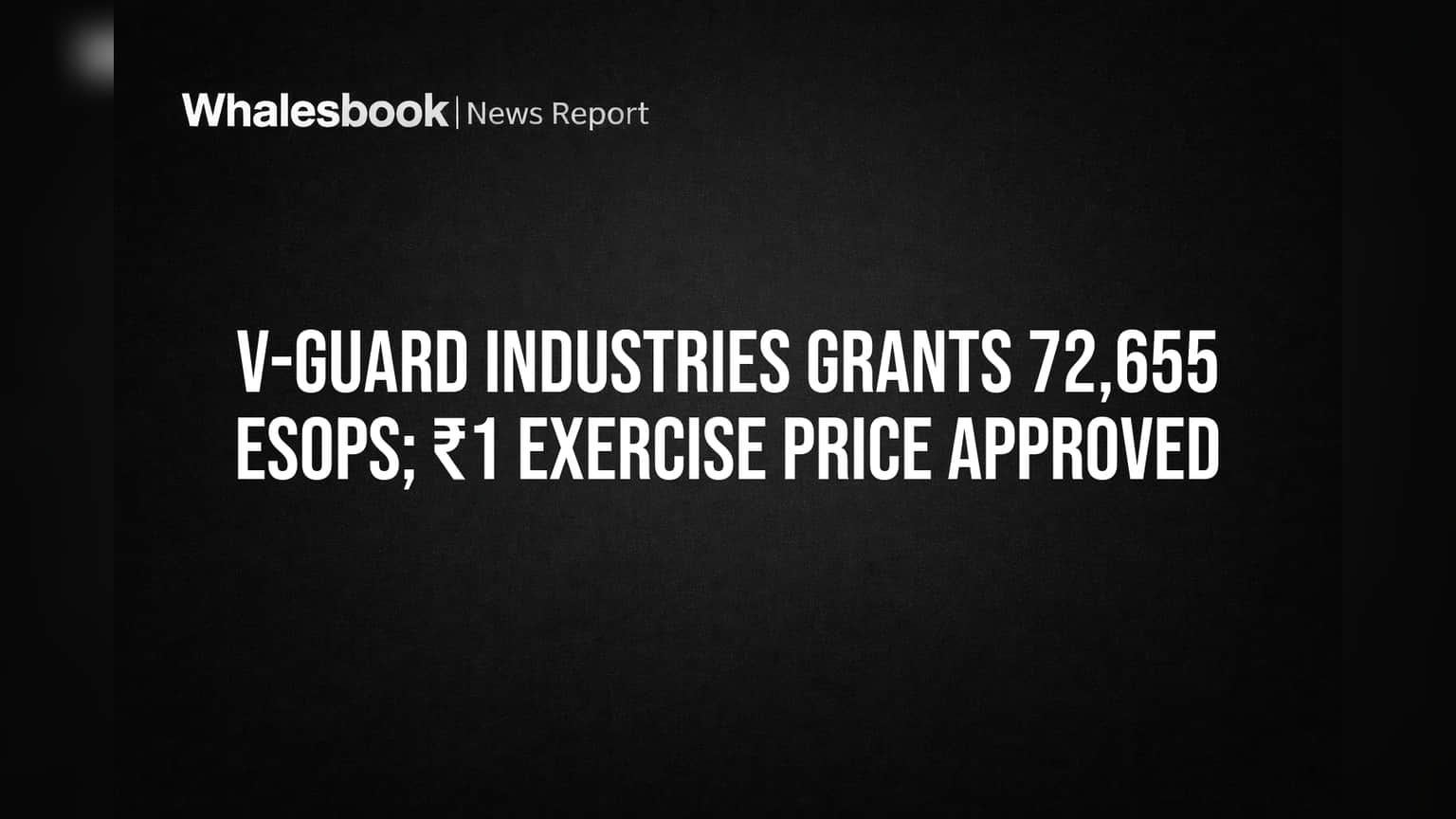 V-Guard Industries Approves 72,655 Employee Stock Options at ₹1