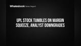UPL Share Price Drop: Profit Bhara Par Tax Aur Margin Ki Chinta Ne Kiya Investors Ko Pareshaan