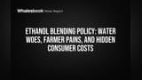 India's Ethanol Program: Green Goals Ke Chakkar Mein Paisa aur Kheti Barbaad?