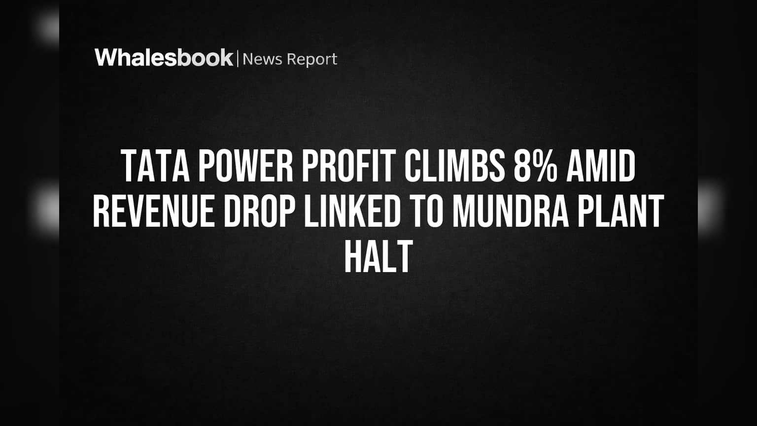 Tata Power Profit Climbs 8% Amid Revenue Drop Linked to Mundra Plant Halt