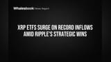 XRP Share Price Alert: Ripple Ke Naye Projects Ne Toh Investors Ko Di Khushkhabri, ETF Mein Aaya Paisa!