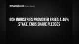 BDH Industries Promoter Frees 4.46% Stake, Ends Share Pledges