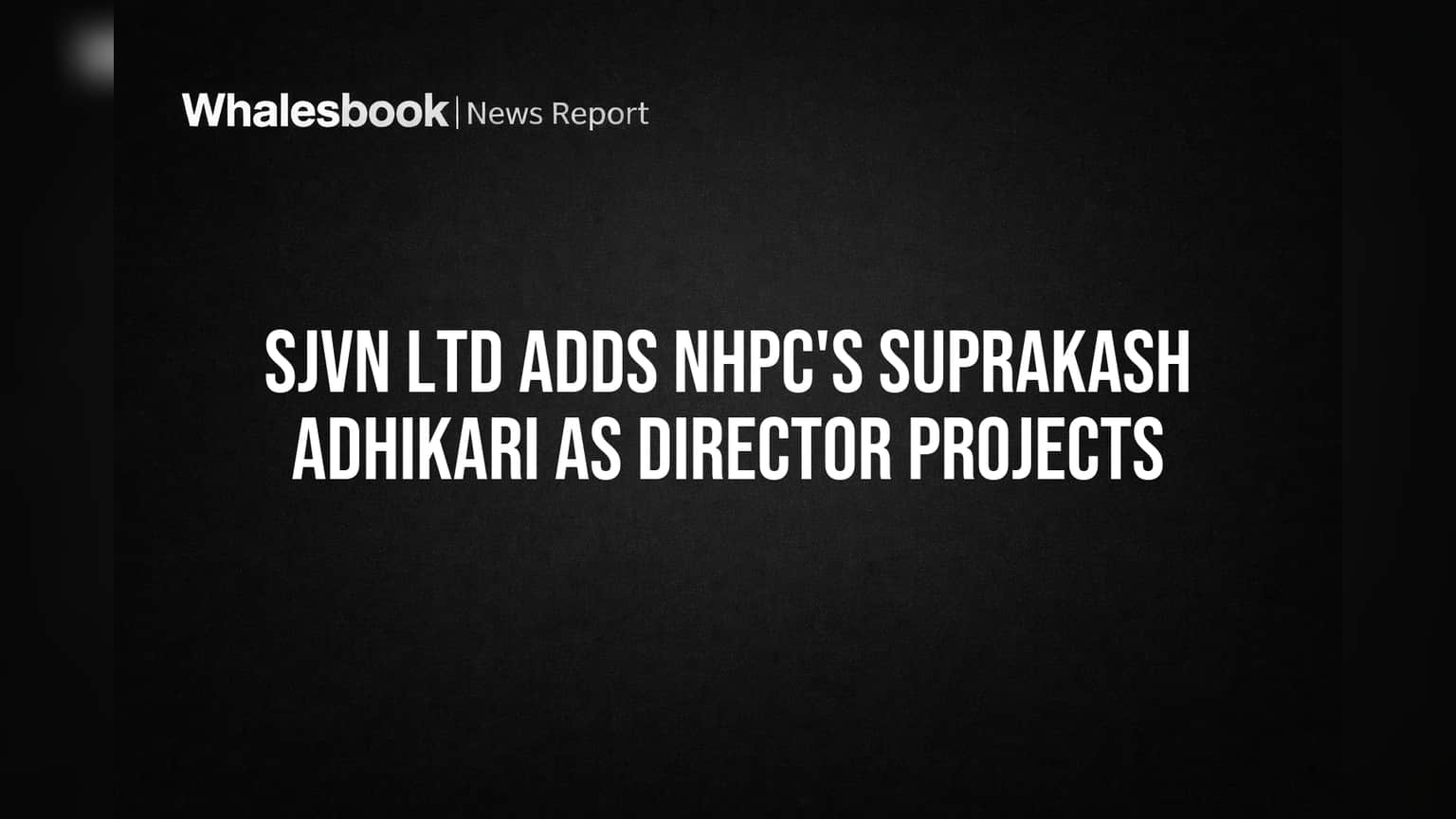 SJVN Ltd Adds NHPC's Suprakash Adhikari as Director Projects