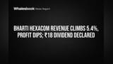 Bharti Hexacom Share Price: Profit Gira, Revenue Bhaga! Homes Segment Ka Kamaal, Par Investors Ko Kya Chahiye?
