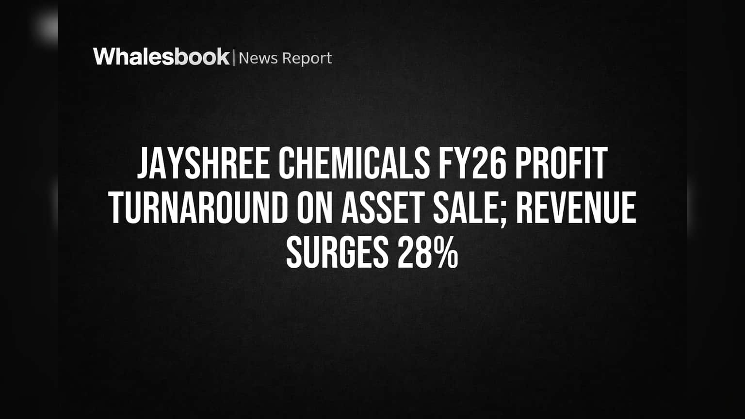 Jayshree Chemicals Share Price: Windmill Division ના વેચાણથી કંપની ચોખ્ખા નફામાં આવી, પણ મુખ્ય બિઝનેસમાં નુકસાન!