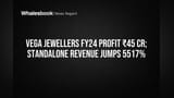 Vega Jewellers: FY24માં ₹45 કરોડનો નફો, આવક ₹984 કરોડ, સ્ટેન્ડઅલોન વેચાણમાં **5517%** નો જબરદસ્ત ઉછાળો!