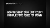 Indoco Remedies च्या Baddi युनिटला EU GMP ची मान्यता, निर्यातीला मोठे पंख लागणार!