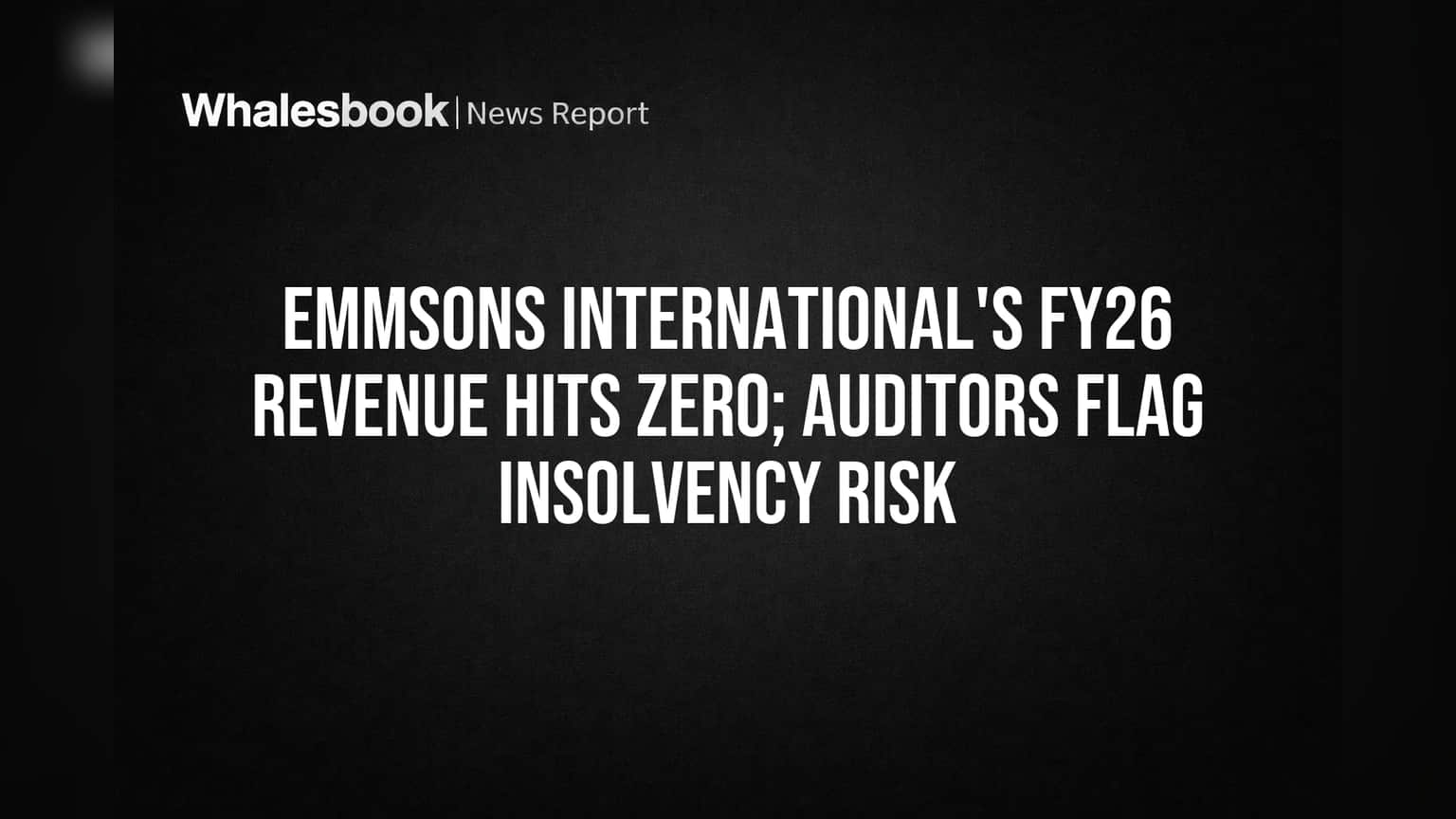 Emmsons International Share Price: வருமானம் பூஜ்ஜியம்! கடன் தொல்லையில் கம்பெனி, தணிக்கையாளர் எச்சரிக்கை
