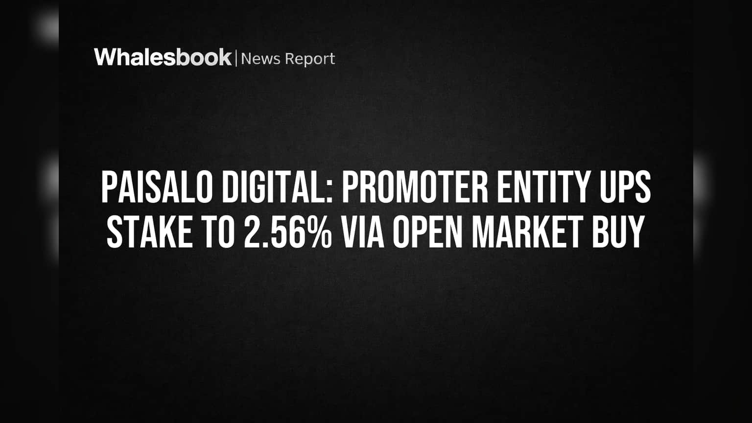 Paisalo Digital: Promoter Entity Ups Stake to 2.56% Via Open Market Buy