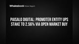 Paisalo Digital: Promoter Entity Ups Stake to 2.56% Via Open Market Buy