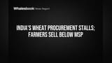 Bharat ke Kisaan: MSP se bhi kam mil rahe hain daam! Agri Sector mein Machi Halchal