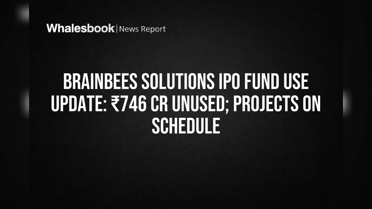 Brainbees FirstCry IPO: ₹746 कोटी Funds शिल्लक, पण सर्व प्रोजेक्ट्स वेळेवर!