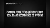 Chambal Fertilisers: Profit Mast, Share Kyun Gira? Dividend Bhi Aaya!