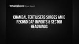 Chambal Fertilisers Shares Soar on Strong Q4 Results, Record DAP Imports