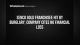 Senco Gold Share: फ्रँचायझीवर चोरी, पण कंपनीला 'नो लॉस'! गुंतवणूकदारांना मोठा दिलासा