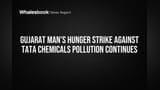 Tata Chemicals Mithapur Plant: Pollution Ka Naya Bawaal! Resident Ki Hunger Strike Se Share Price Par Pressure?