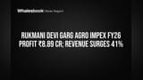 Rukmani Devi Garg Agro Impex FY26: Revenue Soars 41%, Debt Slashed After IPO