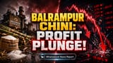 Balrampur Chini Posts Profit Drop Despite Revenue Gain; Debt Rises