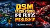 DSM Fresh Foods IPO Fund Use Questioned by CARE Ratings