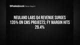 Neuland Labs Q4 निकाल: कमाईत **135%** चा महास्फोट! FY मार्जिन **29.4%** वर