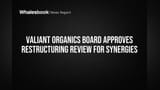 Valiant Organics च्या बोर्डाचा मोठा निर्णय! कंपनीत होणार मोठे पुनर्रचना बदल