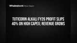 Tuticorin Alkali FY26 Profit Falls 40% as Expansion Costs Climb