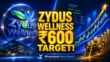 Zydus Wellness Faces Valuation Hurdles Despite Strong Growth Forecasts