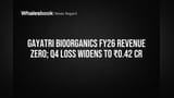 Gayatri BioOrganics FY26 Revenue Zero; Q4 Loss Widens to ₹0.42 Cr