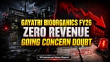 Gayatri BioOrganics FY26 Loss Shrinks to ₹0.42 Cr, But Zero Revenue Persists