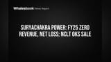 Suryachakra Power Reports Zero FY25 Revenue, NCLT Approves Indo Aquatics Takeover